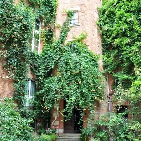 Nice Appartment In The Center